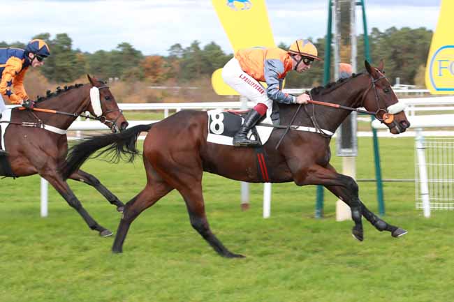 Photo d'arrivée de la course pmu PRIX COMTE ANTOINE DE GONTAUT-BIRON à FONTAINEBLEAU le Mardi 28 octobre 2025