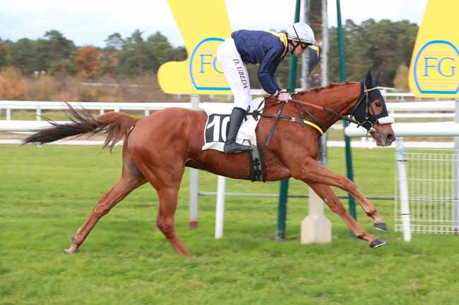 Photo d'arrivée de la course pmu GRANDE COURSE DE HAIES DE FONTAINEBLEAU à FONTAINEBLEAU le Mardi 28 octobre 2025