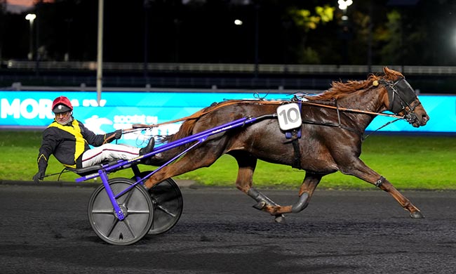 Photo d'arrivée de la course pmu PRIX DE MORLAIX à PARIS-VINCENNES le Mardi 28 octobre 2025