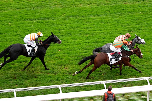 Photo d'arrivée de la course pmu PRIX LA FREGATE à AUTEUIL le Mercredi 29 octobre 2025