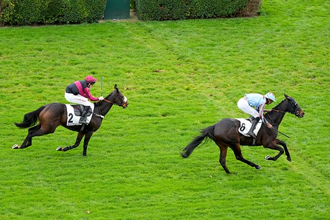 Photo d'arrivée de la course pmu PRIX BISON FUTE à AUTEUIL le Mercredi 29 octobre 2025
