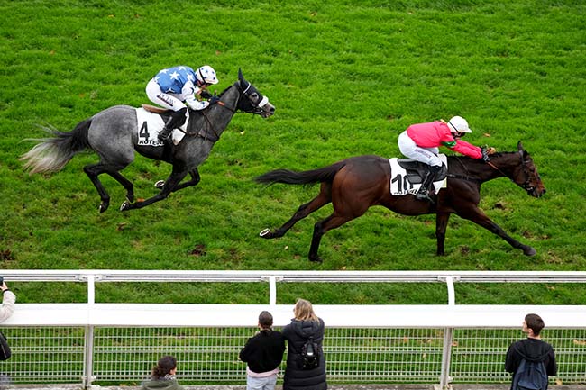 Arrivée quinté pmu PRIX SANTO PIETRO à AUTEUIL