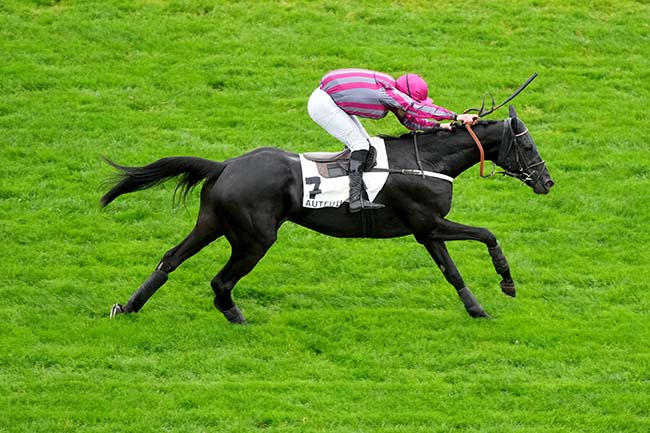 Photo d'arrivée de la course pmu PRIX MONCOURT à AUTEUIL le Mercredi 29 octobre 2025