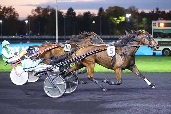 Photo d'arrivée de la course pmu PRIX MERAK à PARIS-VINCENNES le Vendredi 31 octobre 2025