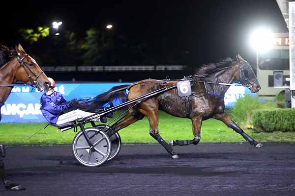 Photo d'arrivée de la course pmu PRIX MERCATOR à PARIS-VINCENNES le Vendredi 31 octobre 2025