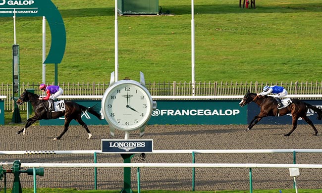 Photo d'arrivée de la course pmu PRIX DE L'ENCLOS DES KANGOUROUS à CHANTILLY le Vendredi 31 octobre 2025