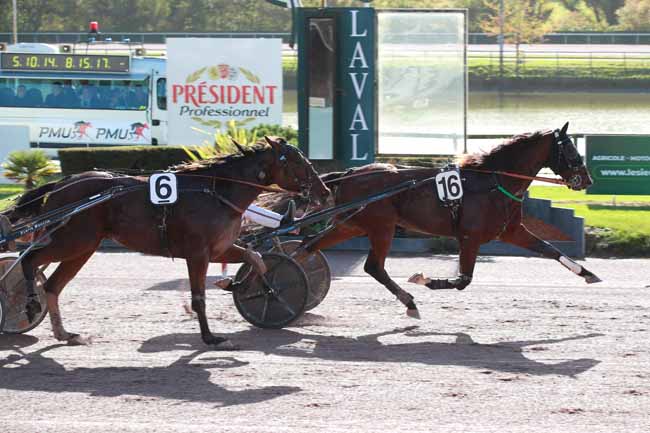 Photo d'arrivée de la course pmu PRIX PRESIDENT PROFESSIONNEL à LAVAL le Samedi 1 novembre 2025