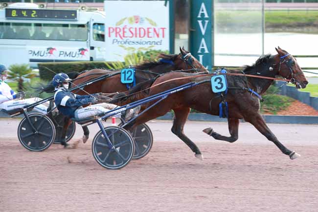 Photo d'arrivée de la course pmu PRIX CREDIT AGRICOLE - ANJOU-MAINE à LAVAL le Samedi 1 novembre 2025