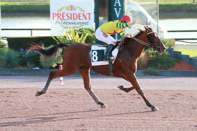 Photo d'arrivée de la course pmu PRIX ANNICK ET GEORGES DREUX à LAVAL le Samedi 1 novembre 2025