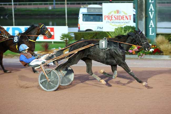 Photo d'arrivée de la course pmu PRIX ANDRE-LOUIS DREUX à LAVAL le Samedi 1 novembre 2025