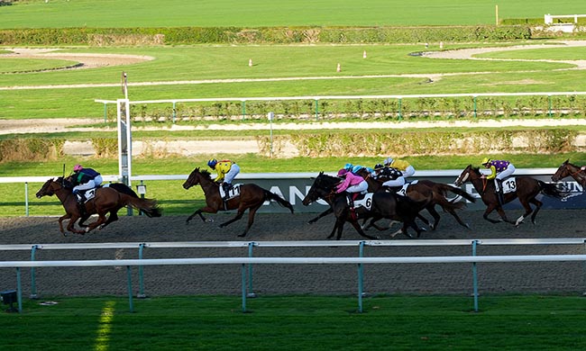 Photo d'arrivée de la course pmu PRIX DE BERD'HUIS à DEAUVILLE le Samedi 1 novembre 2025