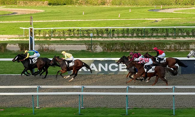 Photo d'arrivée de la course pmu PRIX DE BRAUDIERE à DEAUVILLE le Samedi 1 novembre 2025