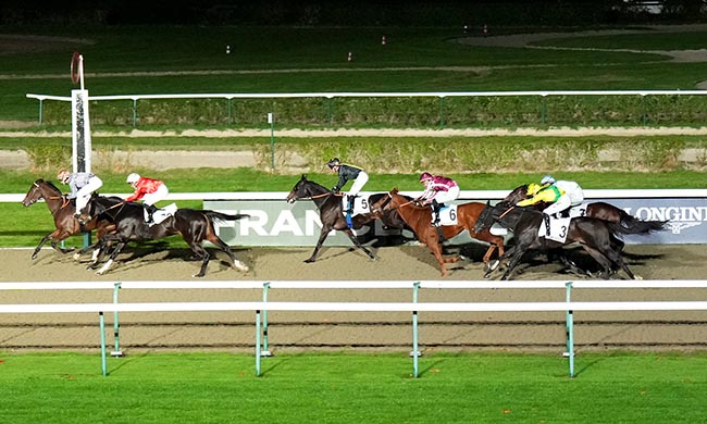 Photo d'arrivée de la course pmu PRIX DU CHATEAU DE TOCQUEVILLE à DEAUVILLE le Samedi 1 novembre 2025