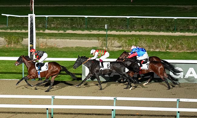 Photo d'arrivée de la course pmu PRIX DU BESSIN à DEAUVILLE le Samedi 1 novembre 2025
