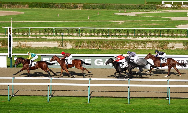 Photo d'arrivée de la course pmu PRIX ZEDDAAN à DEAUVILLE le Dimanche 2 novembre 2025