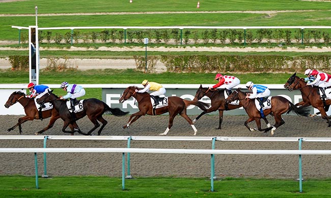 Photo d'arrivée de la course pmu PRIX LA BAMBA à DEAUVILLE le Dimanche 2 novembre 2025