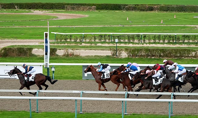 Photo d'arrivée de la course pmu PRIX DU PAYS DE BRAY à DEAUVILLE le Dimanche 2 novembre 2025