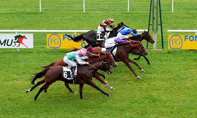 Photo d'arrivée de la course pmu PRIX DES PINS NOIRS à FONTAINEBLEAU le Lundi 3 novembre 2025