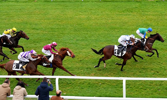 Photo d'arrivée de la course pmu PRIX DES ALISIERS à FONTAINEBLEAU le Lundi 3 novembre 2025
