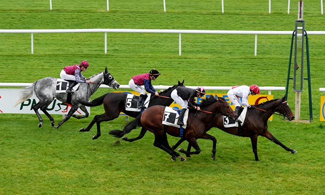 Photo d'arrivée de la course pmu PRIX DES BOSQUETS à FONTAINEBLEAU le Lundi 3 novembre 2025