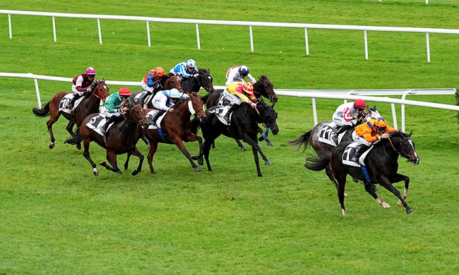 Photo d'arrivée de la course pmu PRIX DES FRENES à FONTAINEBLEAU le Lundi 3 novembre 2025