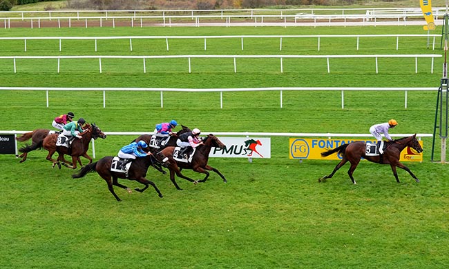 Photo d'arrivée de la course pmu PRIX DU CENTRE D'ECOTOURISME DE FRANCHARD à FONTAINEBLEAU le Lundi 3 novembre 2025