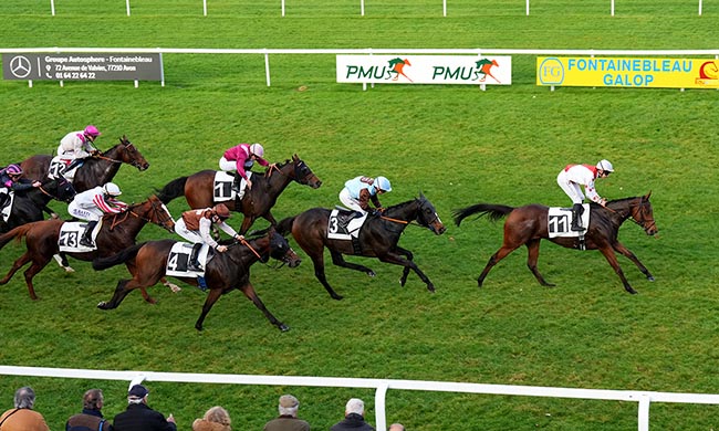 Photo d'arrivée de la course pmu PRIX DE CHATEAU-LANDON à FONTAINEBLEAU le Lundi 3 novembre 2025