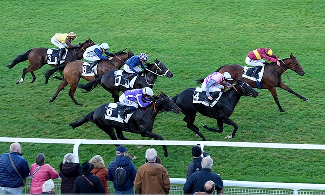 Photo d'arrivée de la course pmu PRIX GUY THIBAULT à FONTAINEBLEAU le Lundi 3 novembre 2025
