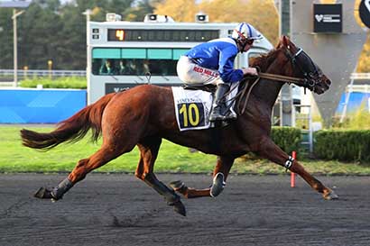 Photo d'arrivée de la course pmu PRIX DE BARENTON à PARIS-VINCENNES le Lundi 3 novembre 2025