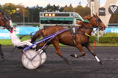 Photo d'arrivée de la course pmu PRIX MEDUSA à PARIS-VINCENNES le Lundi 3 novembre 2025