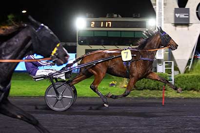 Photo d'arrivée de la course pmu PRIX DE BIDART à PARIS-VINCENNES le Lundi 3 novembre 2025