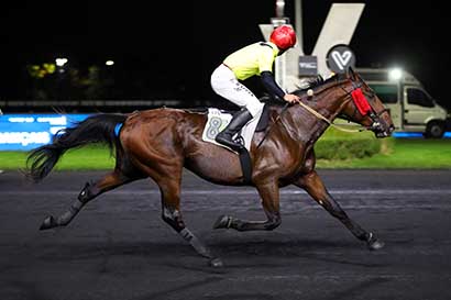 Photo d'arrivée de la course pmu PRIX REYNOLDS à PARIS-VINCENNES le Lundi 3 novembre 2025