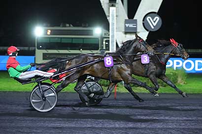 Photo d'arrivée de la course pmu PRIX GEMINUS à PARIS-VINCENNES le Lundi 3 novembre 2025
