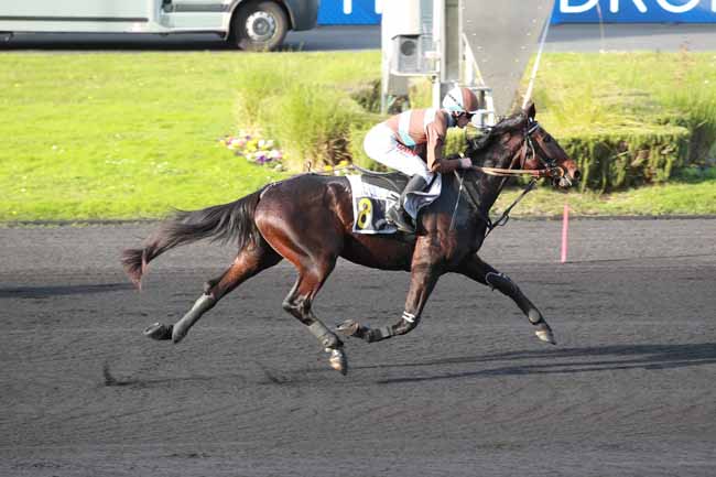 Photo d'arrivée de la course pmu PRIX D'ANGERS à PARIS-VINCENNES le Mardi 4 novembre 2025