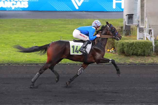 Photo d'arrivée de la course pmu PRIX DE CARPENTRAS à PARIS-VINCENNES le Mardi 4 novembre 2025