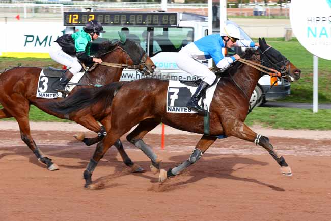 Photo d'arrivée de la course pmu PRIX ONIRIS à NANTES le Mercredi 5 novembre 2025