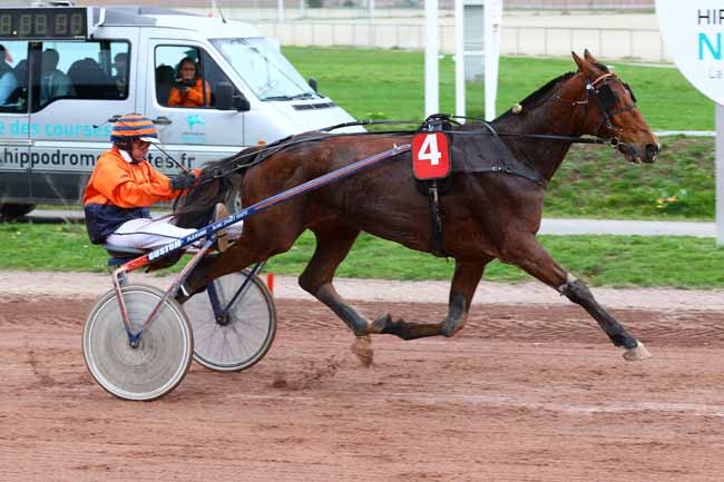 Photo d'arrivée de la course pmu PRIX MG STORE NANTES à NANTES le Mercredi 5 novembre 2025