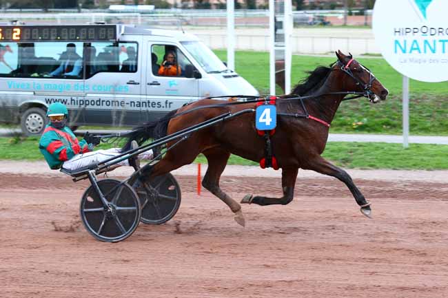 Photo d'arrivée de la course pmu PRIX DE LA REGION PAYS DE LA LOIRE à NANTES le Mercredi 5 novembre 2025