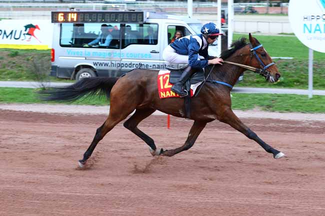Photo d'arrivée de la course pmu PRIX DU SALON DU CHEVAL D'ANGERS à NANTES le Mercredi 5 novembre 2025