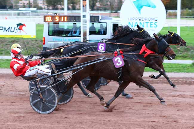 Photo d'arrivée de la course pmu PRIX BIORET CHEVAL à NANTES le Mercredi 5 novembre 2025