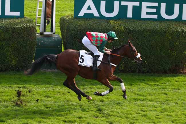Photo d'arrivée de la course pmu PRIX FERDINAND RIANT à AUTEUIL le Mercredi 5 novembre 2025