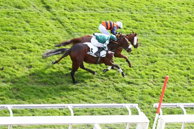 Photo d'arrivée de la course pmu PRIX ROBERT DE LIPOWSKI à AUTEUIL le Mercredi 5 novembre 2025