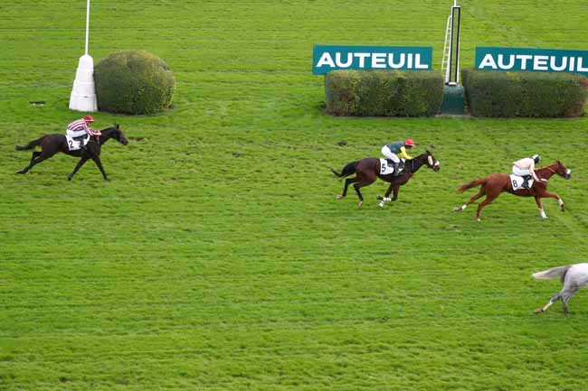Photo d'arrivée de la course pmu PRIX ELSENEUR à AUTEUIL le Mercredi 5 novembre 2025