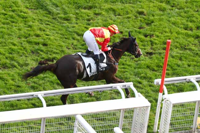 Photo d'arrivée de la course pmu PRIX PRE CATELAN à AUTEUIL le Mercredi 5 novembre 2025