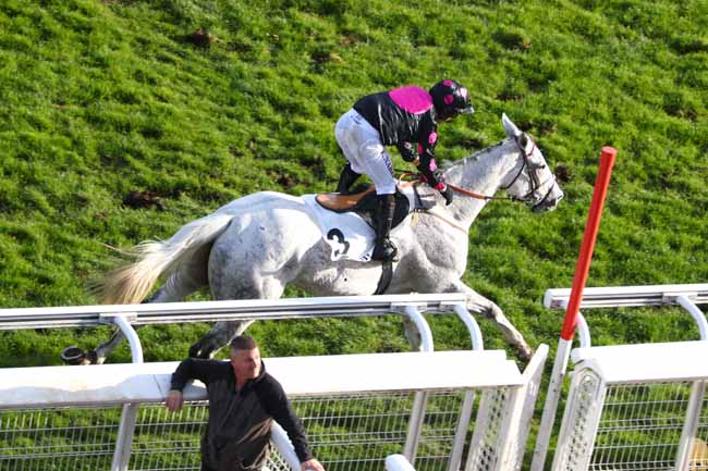 Photo d'arrivée de la course pmu PRIX HUNORISK à AUTEUIL le Mercredi 5 novembre 2025