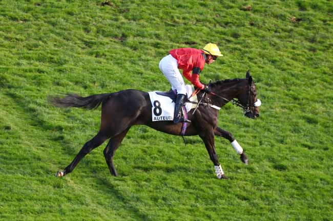 Photo d'arrivée de la course pmu PRIX TRIQUERVILLE à AUTEUIL le Mercredi 5 novembre 2025