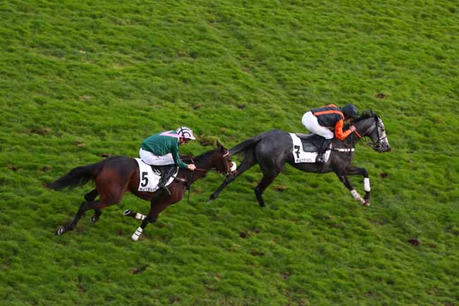 Photo d'arrivée de la course pmu PRIX LEOPOLD BARA à AUTEUIL le Mercredi 5 novembre 2025