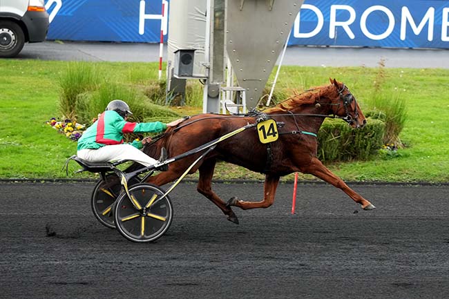 Photo d'arrivée de la course pmu COUPE DES AMATEURS (GROUPE B) à PARIS-VINCENNES le Jeudi 6 novembre 2025