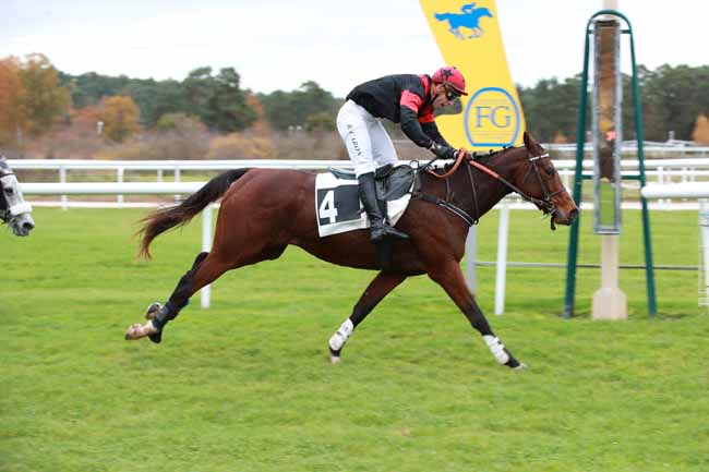 Photo d'arrivée de la course pmu PRIX WWW.COURSESCHEVAUX.FR à FONTAINEBLEAU le Jeudi 6 novembre 2025