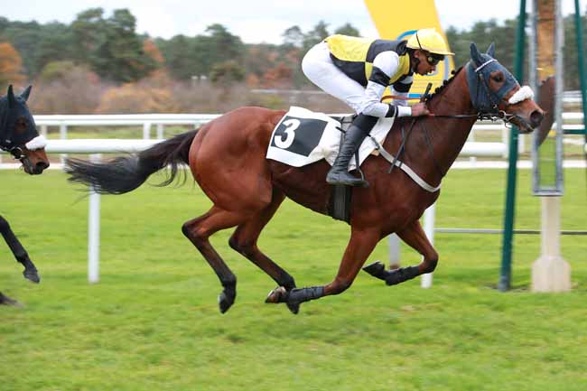 Photo d'arrivée de la course pmu PRIX PAUL TAVERNIER à FONTAINEBLEAU le Jeudi 6 novembre 2025